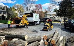 Atlantis, FL Tree Care Company